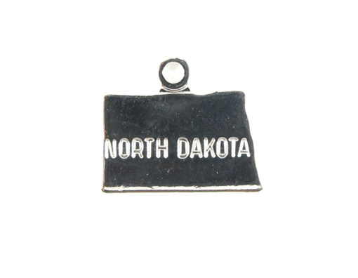 Engraved Tiny SILVER Plated on Raw Brass North Dakota State Charms