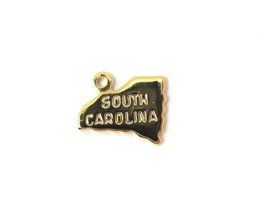 Engraved Tiny GOLD Plated on Raw Brass South Carolina State Charms