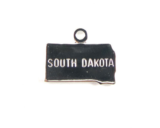 Engraved Tiny SILVER Plated on Raw Brass South Dakota State Charms