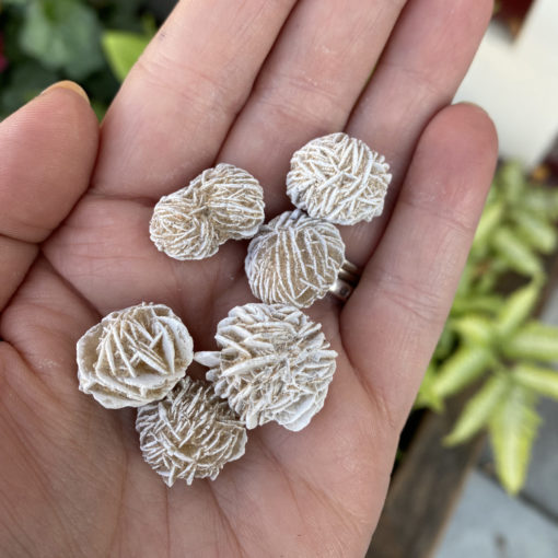 small desert rose wrapping rock