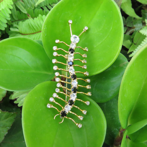 centipede pin